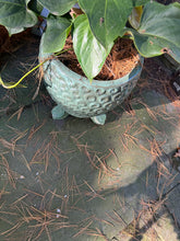 Hosta Leaf Pot Riser - Set of Three