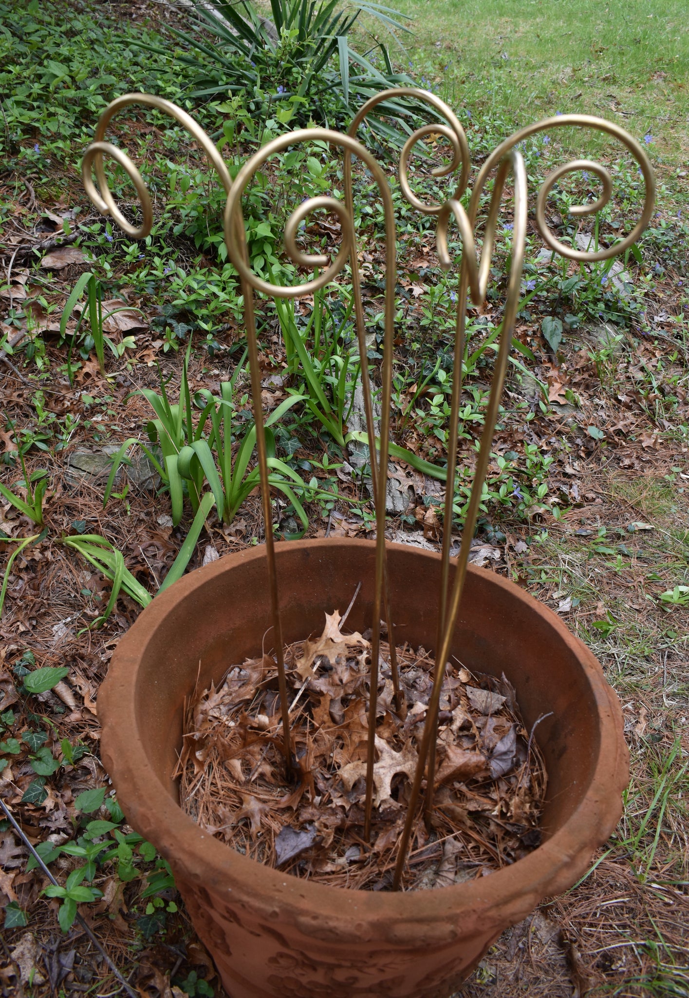 Brass Plant Stakes