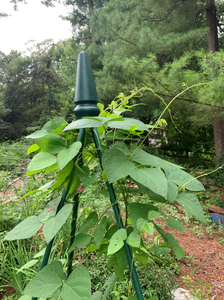 Garden Obelisk Finial