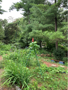 Garden Obelisk Finial